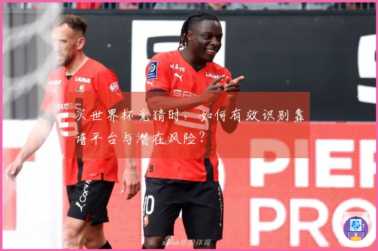 买世界杯竞猜时，如何有效识别靠谱平台与潜在风险？