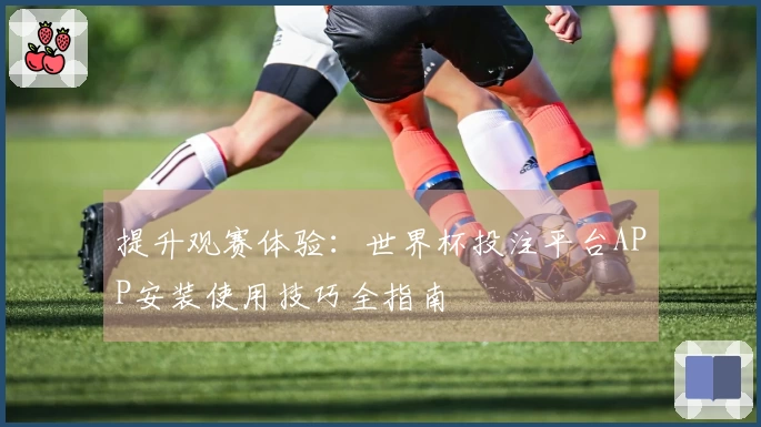 提升观赛体验：世界杯投注平台APP安装使用技巧全指南