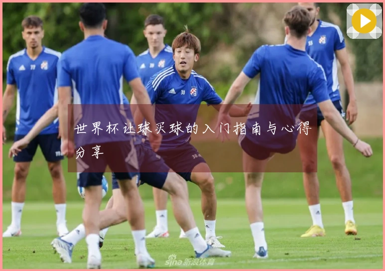 世界杯让球买球的入门指南与心得分享