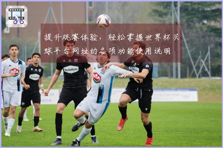 提升观赛体验，轻松掌握世界杯买球平台网址的各项功能使用说明