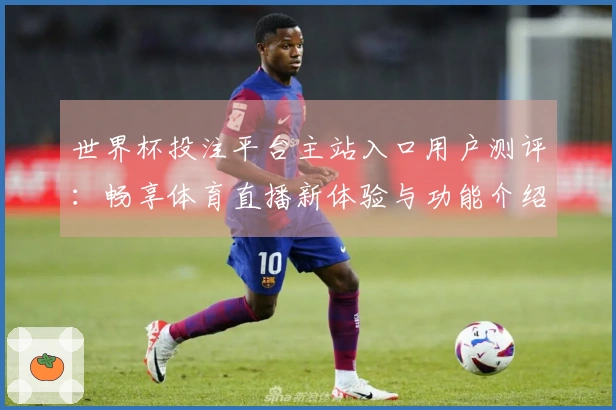 世界杯投注平台主站入口用户测评:畅享体育直播新体验与功能介绍
