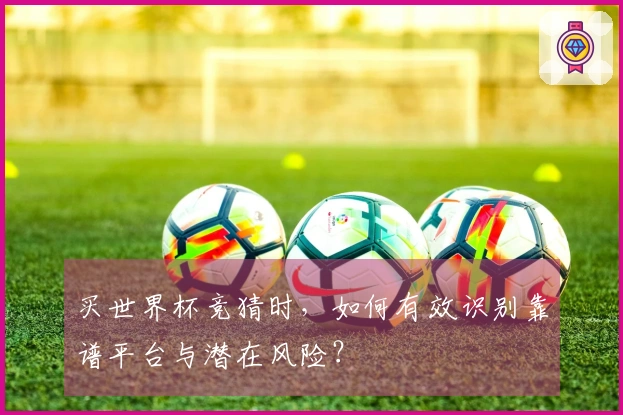 买世界杯竞猜时，如何有效识别靠谱平台与潜在风险？