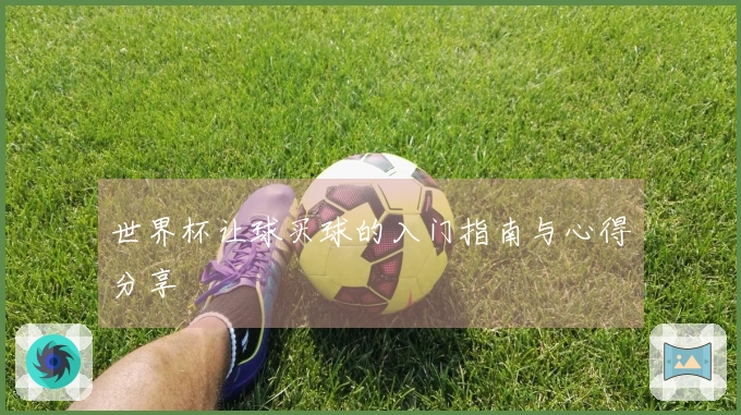 世界杯让球买球的入门指南与心得分享