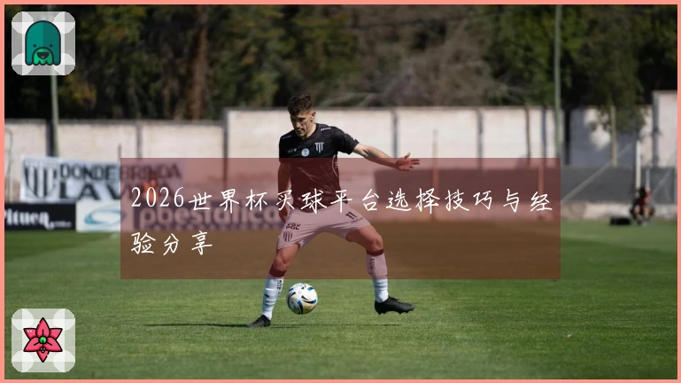 2026世界杯买球平台选择技巧与经验分享