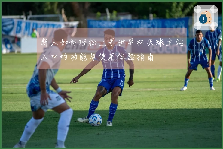 新人如何轻松上手世界杯买球主站入口的功能与使用体验指南