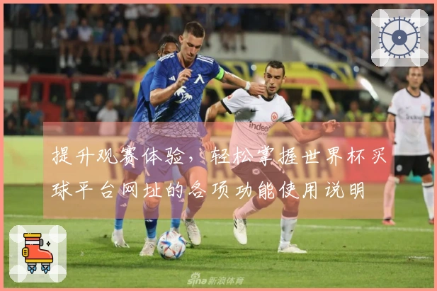 提升观赛体验，轻松掌握世界杯买球平台网址的各项功能使用说明