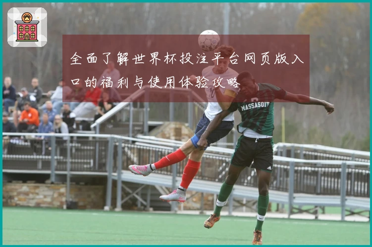 全面了解世界杯投注平台网页版入口的福利与使用体验攻略