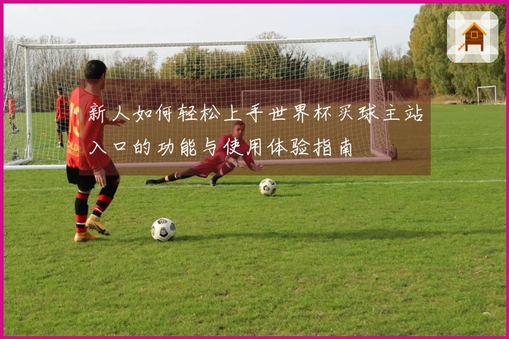 新人如何轻松上手世界杯买球主站入口的功能与使用体验指南